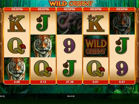 wild orient slot